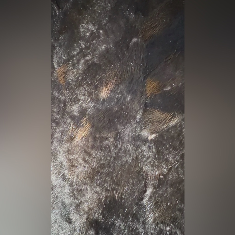 MACY’S FUR VAULT REVERSIBLE REAL MINK FOX COAT FUR SIZE L LARGE HOOD - Picture 16 of 16